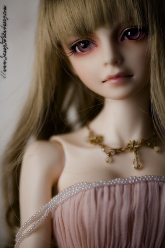 Super Dollfie （完美的人类）简称SD，大多数对此不熟悉的人谈及的“SD”只是统称，真正的SD是BJD中的一种。