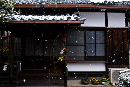 下雪的古风建筑别有一番韵味~