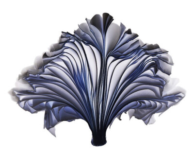 New Blossoming Book Sculptures by Cara Barer