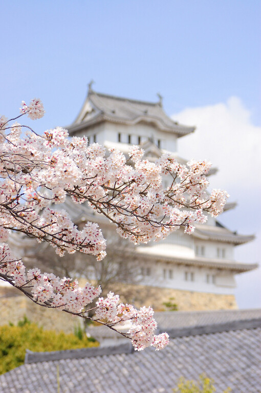 日本.. 壁纸