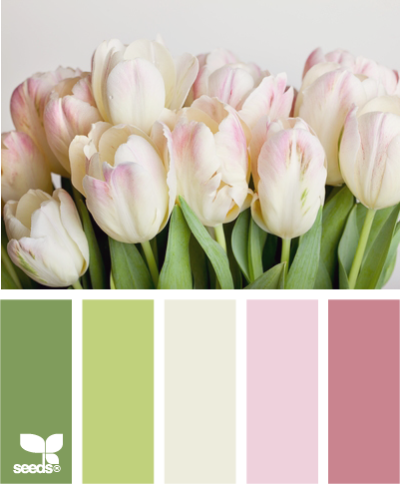 tulip tones