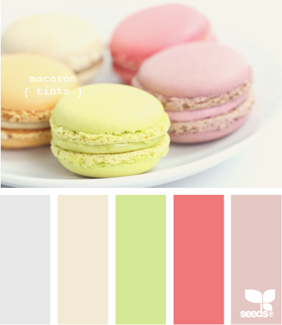 macaron tints