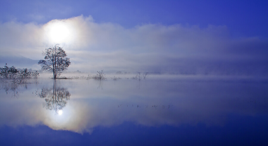 Photograph So cool :)) by DEW SP on 500px