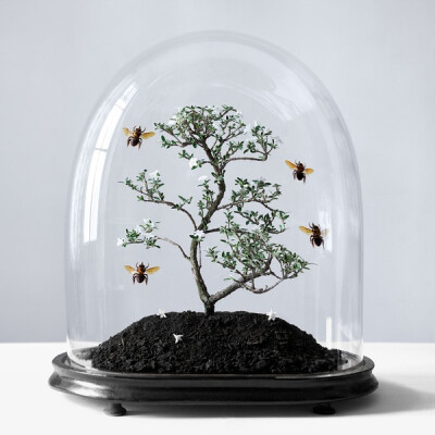 法国摄影师Juliette Bates摄影作品