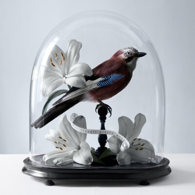 法国摄影师Juliette Bates摄影作品