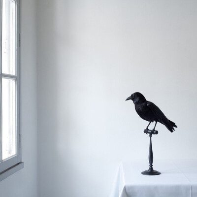 法国摄影师Juliette Bates摄影作品