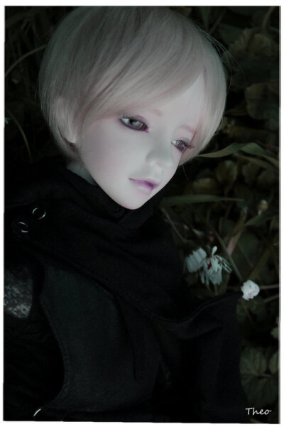 Super Dollfie、Super Dollfie