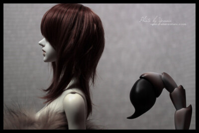 SD3、Super Dollfie、DOLL