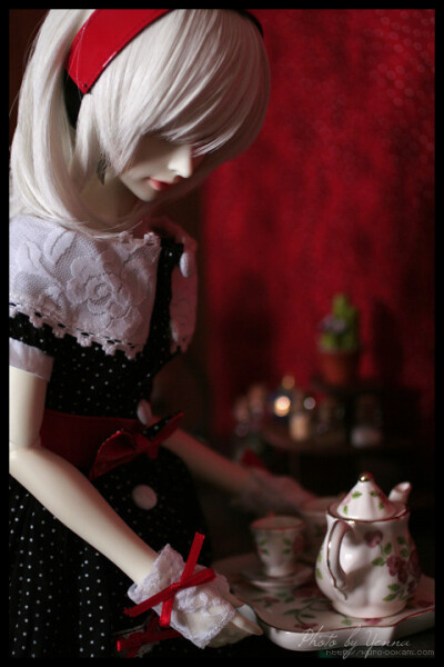 Super Dollfie、Super Dollfie