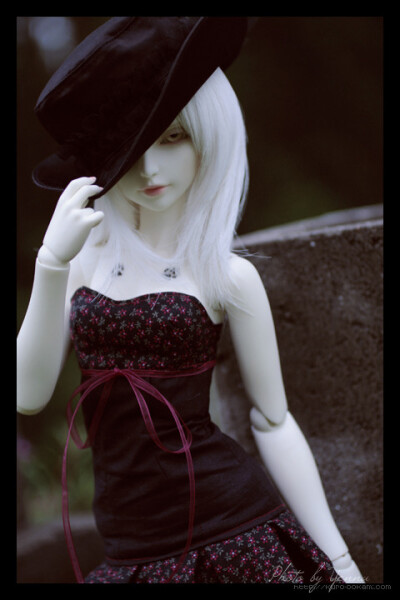 Super Dollfie、Super Dollfie、BJD