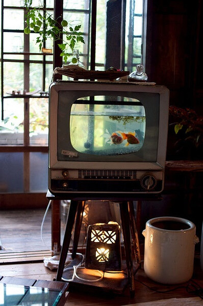 老电视机做的鱼缸 感觉好赞！