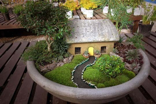 微缩盆景~如果你买不起小花园就自己DIY一个吧~ 苔藓、小植物、小石头、小房子~~梦中的小院~