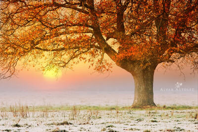 Photograph Un amanecer frio de otoño by Alvar Astúlez on 500px