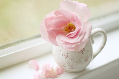 浮生若梦，浮尘如空 -小清新