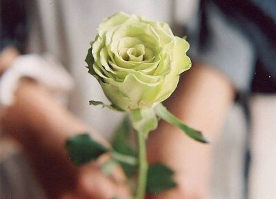 浮生若梦，浮尘如空 -小清新