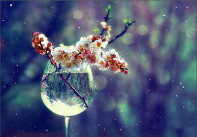 浮生若梦，浮尘如空 -小清新