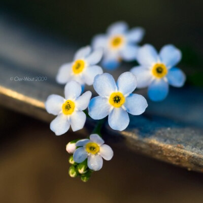 浮生若梦，浮尘如空 -小清新