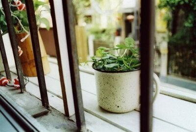 浮生若梦，浮尘如空 -小清新