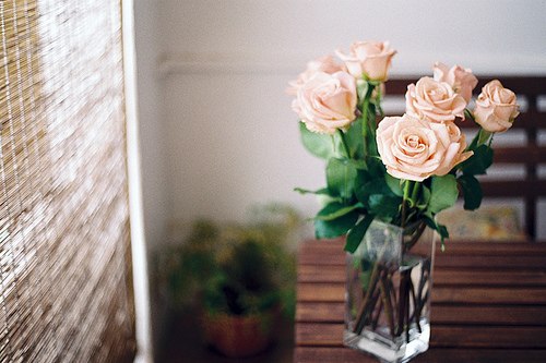 浮生若梦，浮尘如空 -小清新