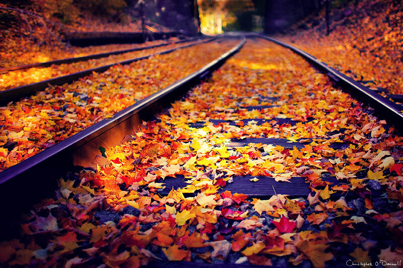 By Christopher O’Donnell