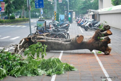 3、强风会吹落高空物品，要及时搬移屋顶、窗口、阳台处的花盆、悬吊物等；在台风来临前，最好不要出门，以防被砸、被压、触电等不测；检查门窗、室外空调、保笼、太阳能热水器的安全，并及时进行加固；