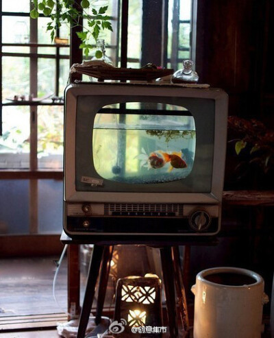 老电视做的鱼缸~