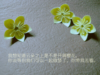 【樱花】我想知道云朵上是不是开满了樱花，你说等到我们可以一起做梦了，你带我去看。