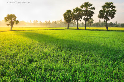 Photograph Chau Doc - An Giang landscape by Ngo Dung on 500px