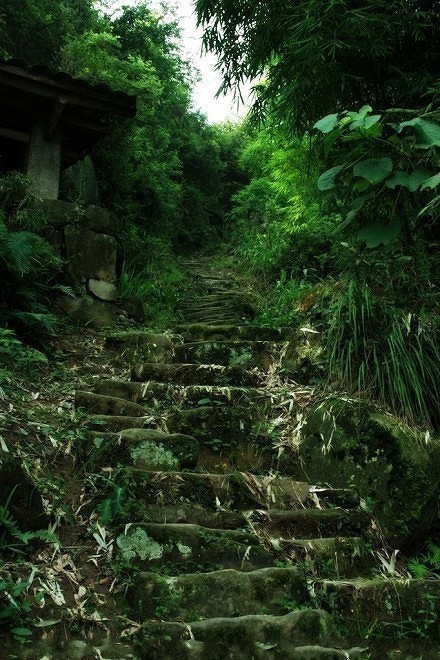 繁华尽处，寻一无人山谷，建一木制小屋，铺一青石小路，与你晨钟暮鼓，安之若素 。