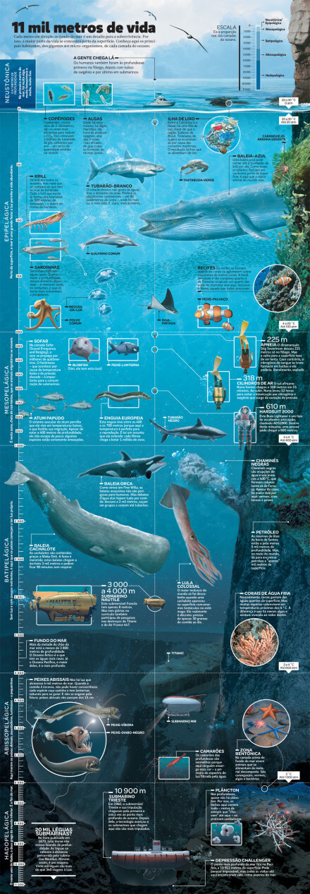 海洋鱼类分布图按深度图片