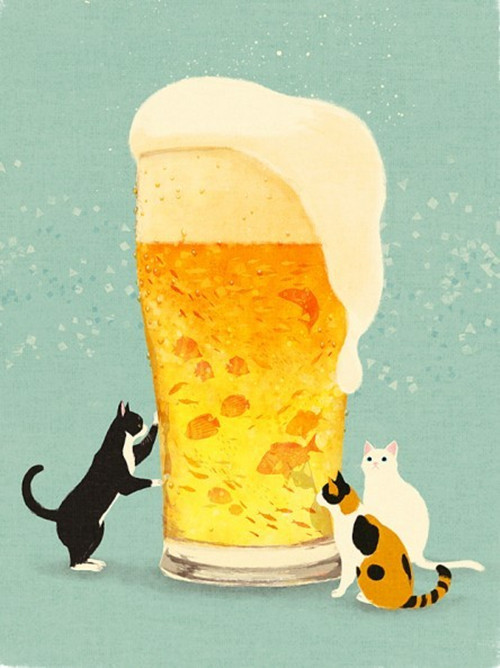 cats&fishes&bear