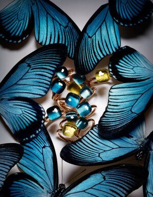 宝曼兰朵“蝶影·映像”珠宝