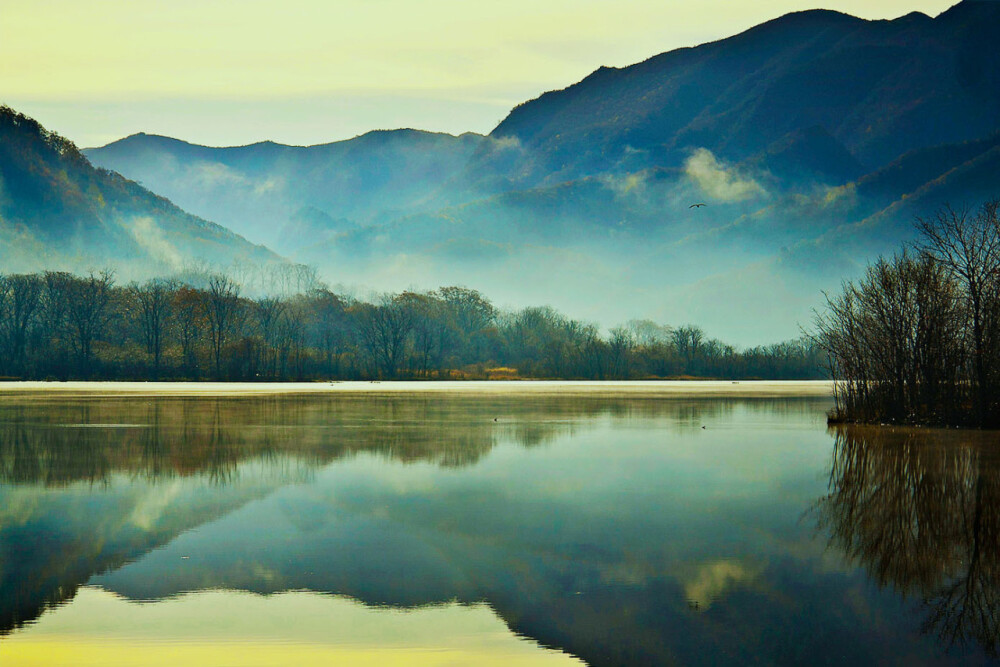 在湖北的神农架最深处，有一个山间盆地：高山湿地大九湖，四周高山耸立，中间低洼平坦，总面积36平方公里。其中，低洼平坦地有17平方公里，海拔1700余米，东西长15公里，南北宽1—4公里，被称为“湖北的呼仑贝尔”，主要景点有：高山盆地、湿地、草原、牧场、梅花鹿、古榔榆树。这里雨量充沛，水草丰茂，气温凉爽，日照充分，但无霜期短，积雪日长。与重庆市巫溪、巫山县交界，是神农架通向重庆的西大门。