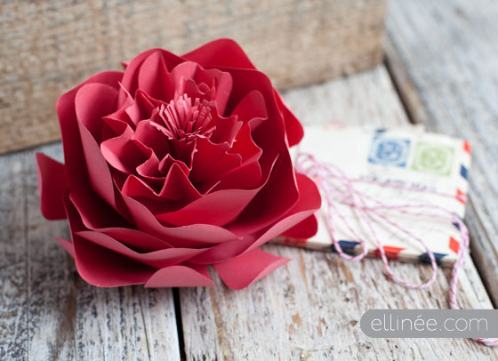 DIY paper peony