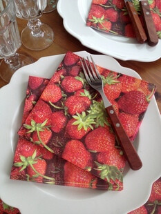 34CM方形植物水果 彩色餐巾纸