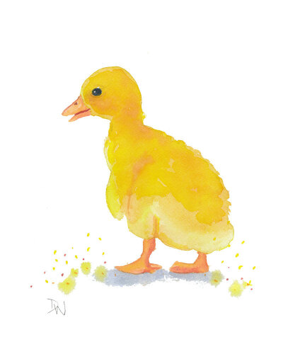 Original Duckling Watercolor - Duck, Animal Illustration, Nursery Art.jpg