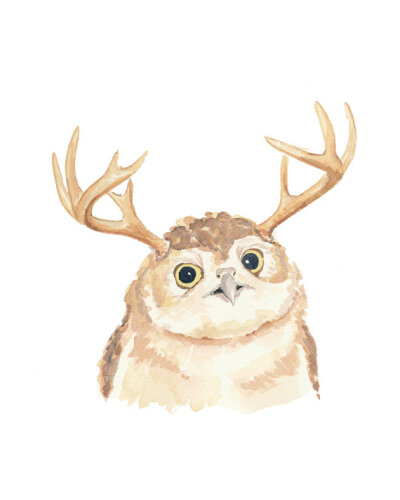 Owl Watercolour - Original Painting, Antlers, Owl Illustration.jpg