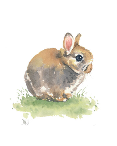 Rabbit Watercolor - Bunny Painting, Original Art, Nursery Art, Dwarf Rabbit.jpg