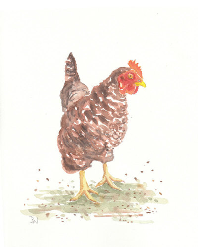 Rooster Watercolor - Original Paiting, Barnyard Animal.jpg