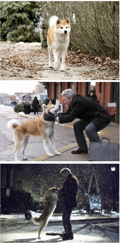 【忠犬八公】生与死的距离对于狗来说它是无法参透的，它只相信它的主人会回来。它卧在那里十年，等待，透彻成一道风景，一个人可以等另一个人十年吗，可是一只狗可以，看 电影时我哭了好久