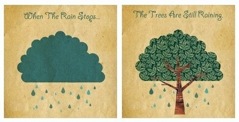 ✿ When the rain stops，the trees are still raining.