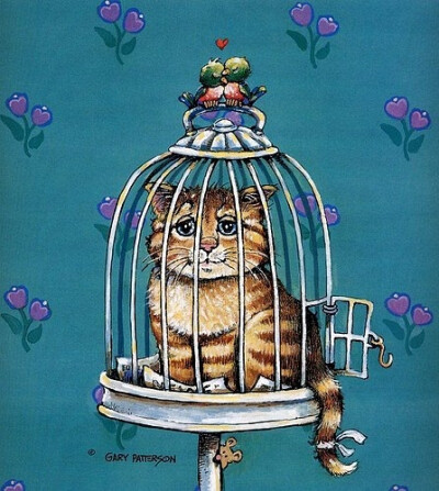 笼子里的猫