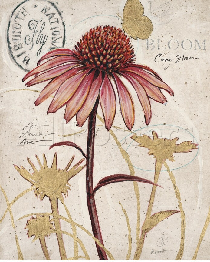 Chad Barrett 花鸟插画