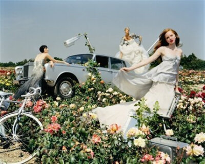 Tim Walker lily cole