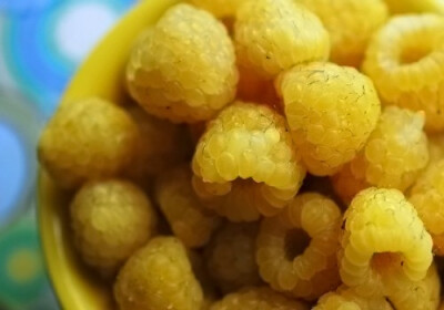 Golden Raspberries by ophelia