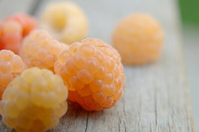 golden raspberries by pearl