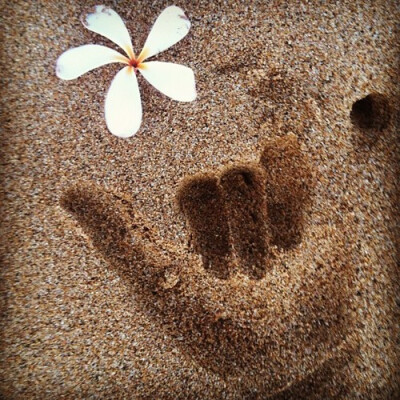 prettyyy inpinkkk：鸡蛋花＃茂宜＃＃hangloose＃海滩（Instagram的拍摄）