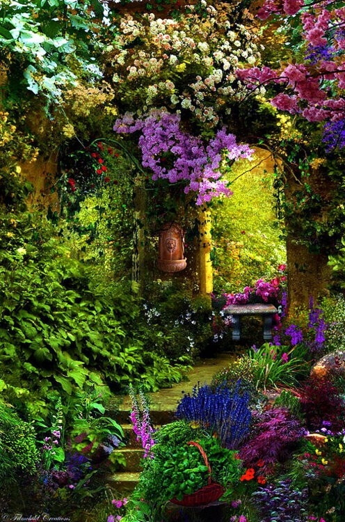 Secret Garden by Nessa