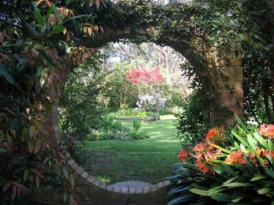 Secret Garden by audrey