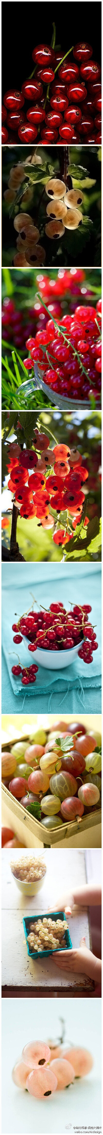 水果美食:醋栗（gooseberry）又名灯笼果。果实近圆形或椭圆形，成熟时果皮黄绿色，光亮而透明，几条纵行维管束清晰可见，花萼宿存，很像灯笼果。醋栗是一种抗寒的小浆果，果实营养丰富，适于鲜食和加工，制成果酱果…